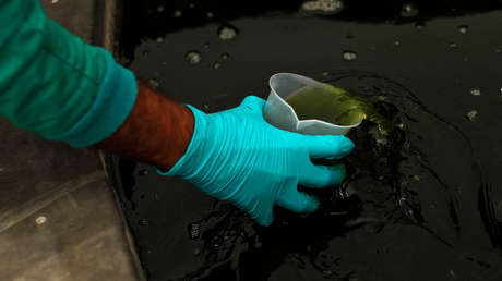 Científicos neerlandeses encuentran una nueva señal de alerta temprana del coronavirus