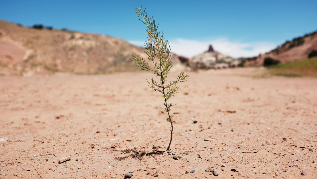Pronostican que EE.UU. y el norte de México sufrirán la peor 'megasequía' en 1.200 años
