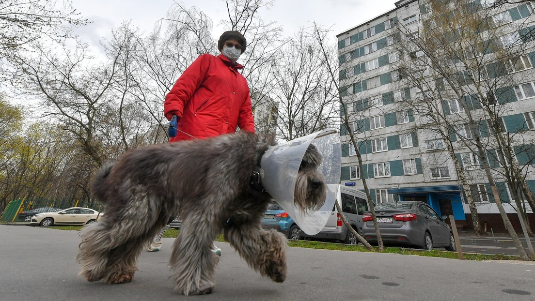 Rusia registra 87.147 casos de covid-19 tras sumar 6.198 contagios en un día
