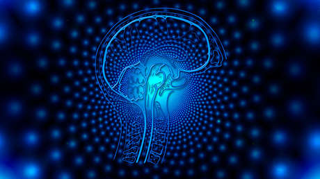 Un sistema de Inteligencia Artificial plasma señales cerebrales en texto con hasta un 97 % de precisión