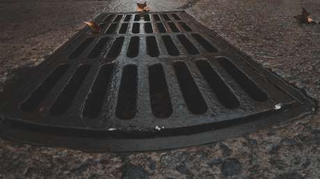 Seis personas desaparecen en un drenaje en un intento de llegar a EE.UU. desde México