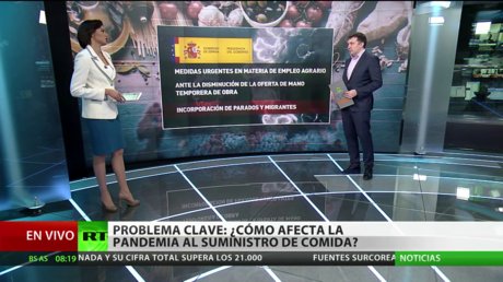 ¿Cómo afecta la pandemia del coronavirus al suministro de alimentos en el mundo?
