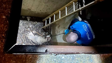 España: Rescatan a un perro a punto de ahogarse gracias al aviso de otro can (FOTOS)