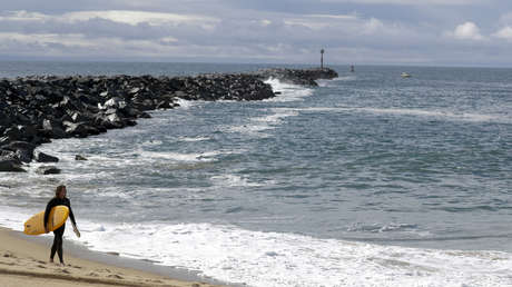 VIDEO: Una manada de delfines 'brilla' en el agua bioluminiscente en California