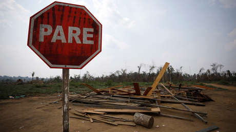 Ni siquiera durante la cuarentena: los guardianes de la Amazonia son asesinados mientras Bolsonaro desmantela los controles ambientales
