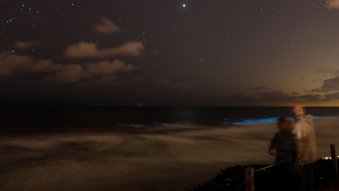 De espectáculo colorido a marea apestosa: así evolucionó el fenómeno que cubrió las costas de California