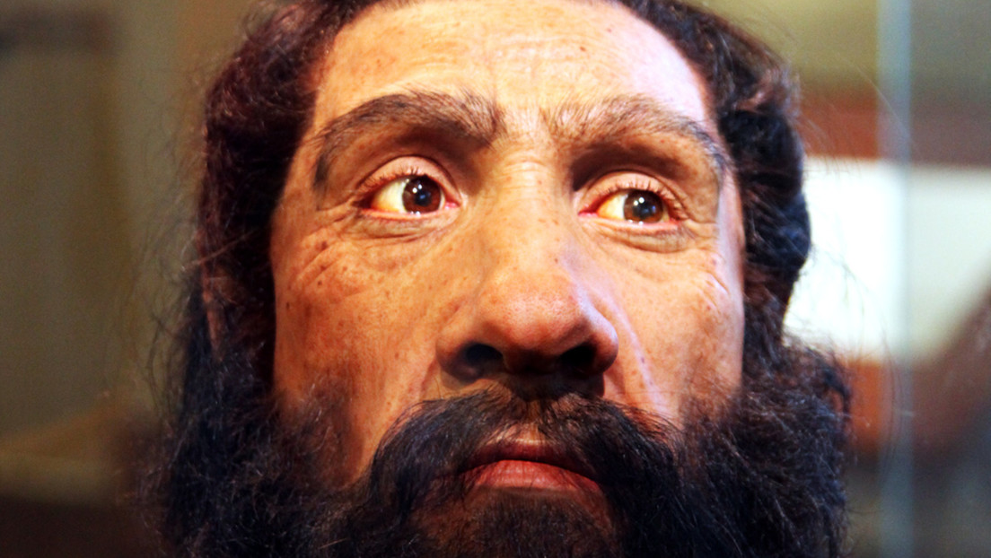 Una simulación en una supercomputadora revela la causa principal de la extinción de los neandertales