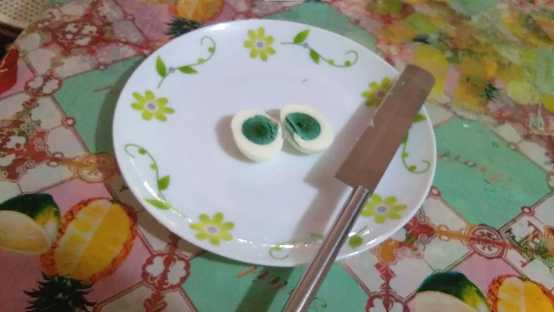 VIDEO, FOTOS: Una gallina en la India pone huevos con la yema verde y nadie sabe por qué
