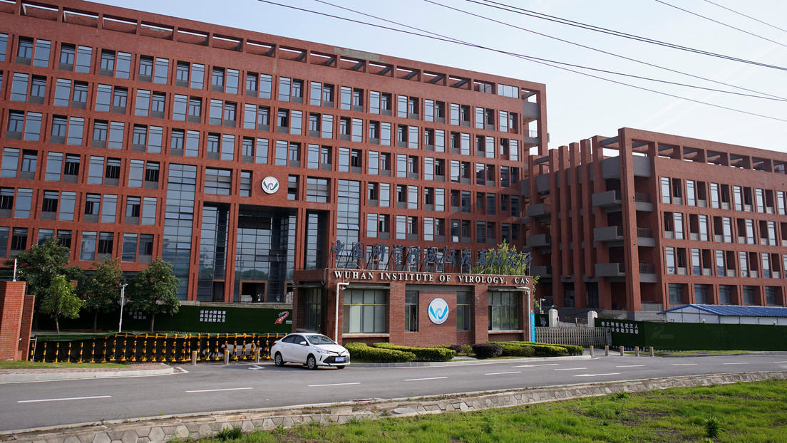 El laboratorio de Wuhan admite tener tres cepas vivas de coronavirus de murciélago, pero insiste en que ninguna es la fuente de la pandemia
