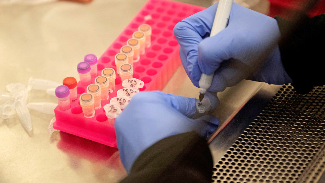 La OMS suspende los ensayos de hidroxicloroquina y cloroquina como fármacos para tratar el covid-19