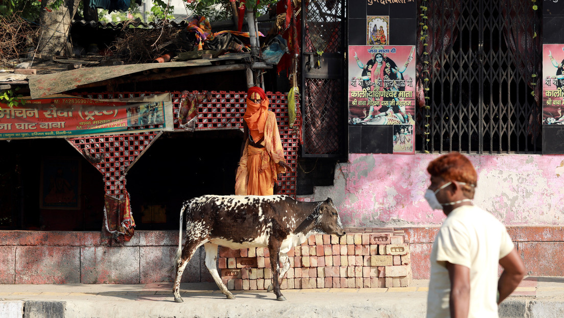 Sacerdote indio decapita a un hombre en un templo para combatir el coronavirus