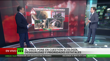 El covid-19 pone en cuestión la ecología, la desigualdad social y las prioridades estatales