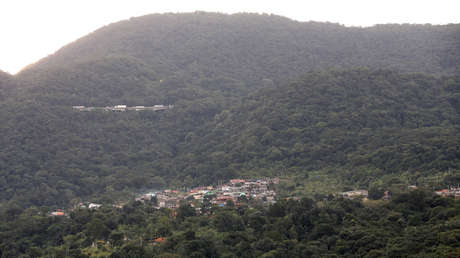 Bolsonaro amnistía a los taladores ilegales de la Mata Atlántica (o cómo la pandemia no frena los crímenes ambientales en Brasil)