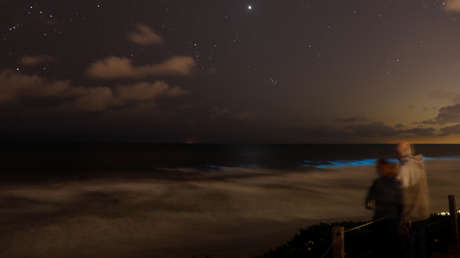 De espectáculo colorido a marea apestosa: así evolucionó el fenómeno que cubrió las costas de California