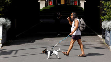 Investigadores confirman que los perros pueden contraer el coronavirus de sus dueños