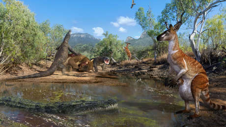 Revelan que los primeros australianos coexistían con lagartos y canguros enormes (IMÁGENES)