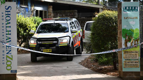 Una cuidadora de un zoo de Australia en estado crítico tras sufrir el ataque de dos leones