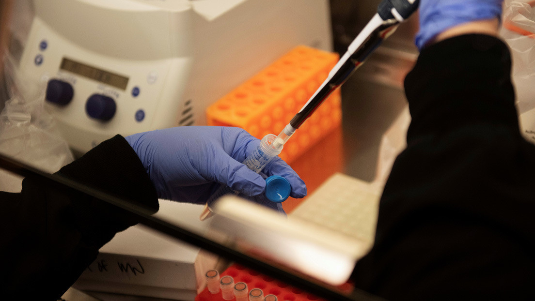 La OMS reanudará sus pruebas con hidroxicloroquina para encontrar una vacuna contra el covid-19