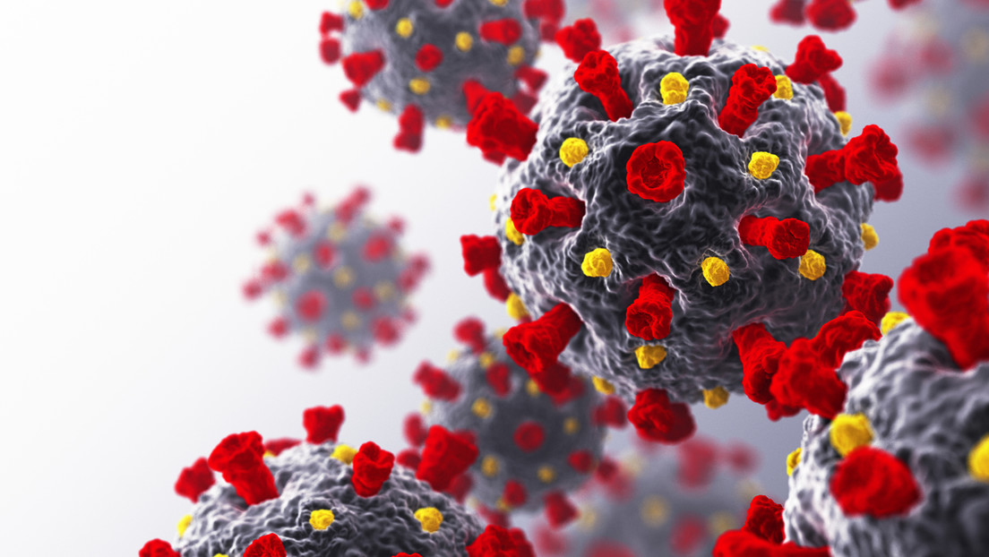¿Un 'cómplice' del covid-19?: Encuentran una proteína que ayuda al coronavirus a ingresar a las células cerebrales