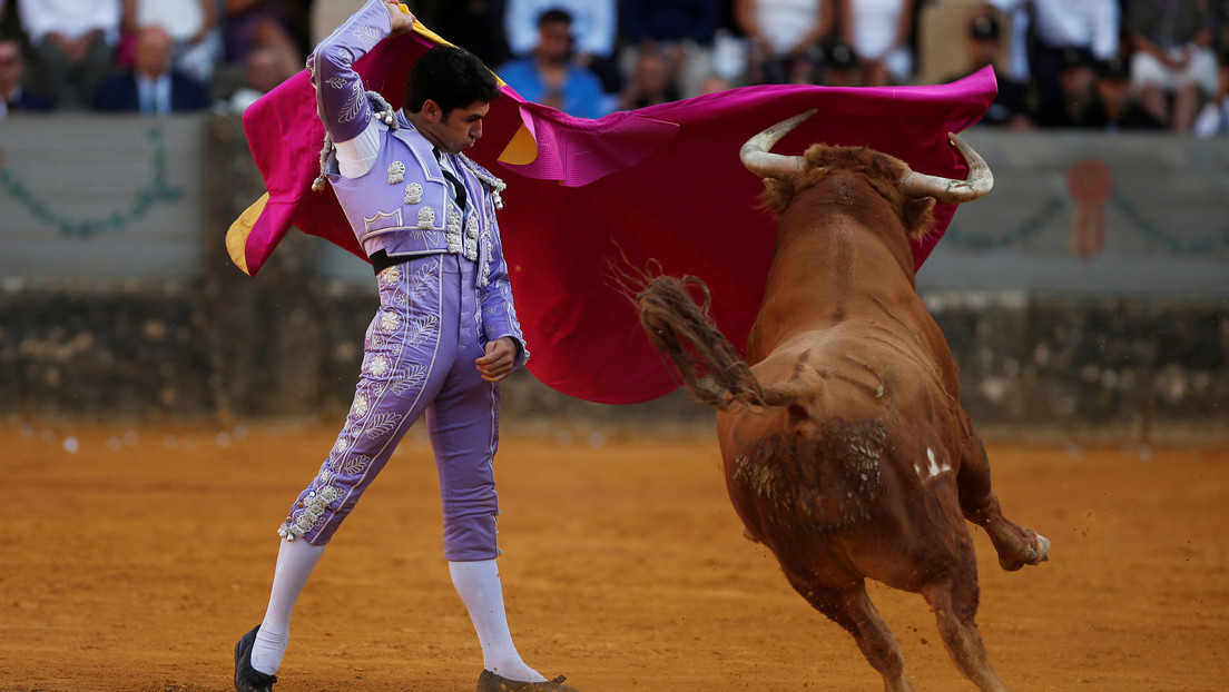 Consejo de Bogotá aprueba un proyecto que desincentiva las corridas de toros en la capital colombiana