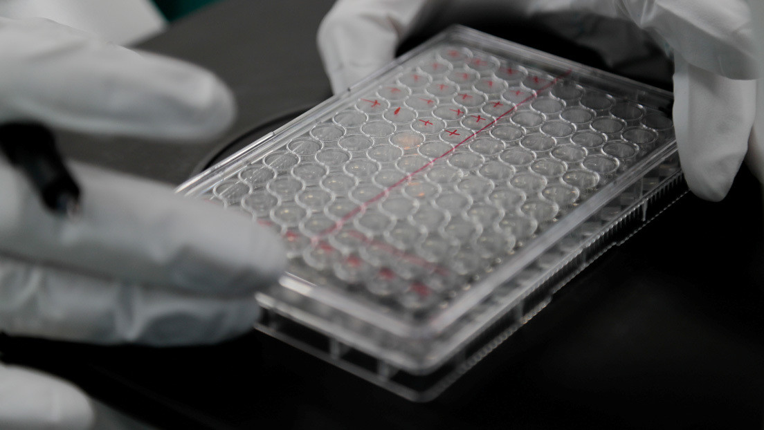 La OMS descarta una vacuna contra el coronavirus en 2020