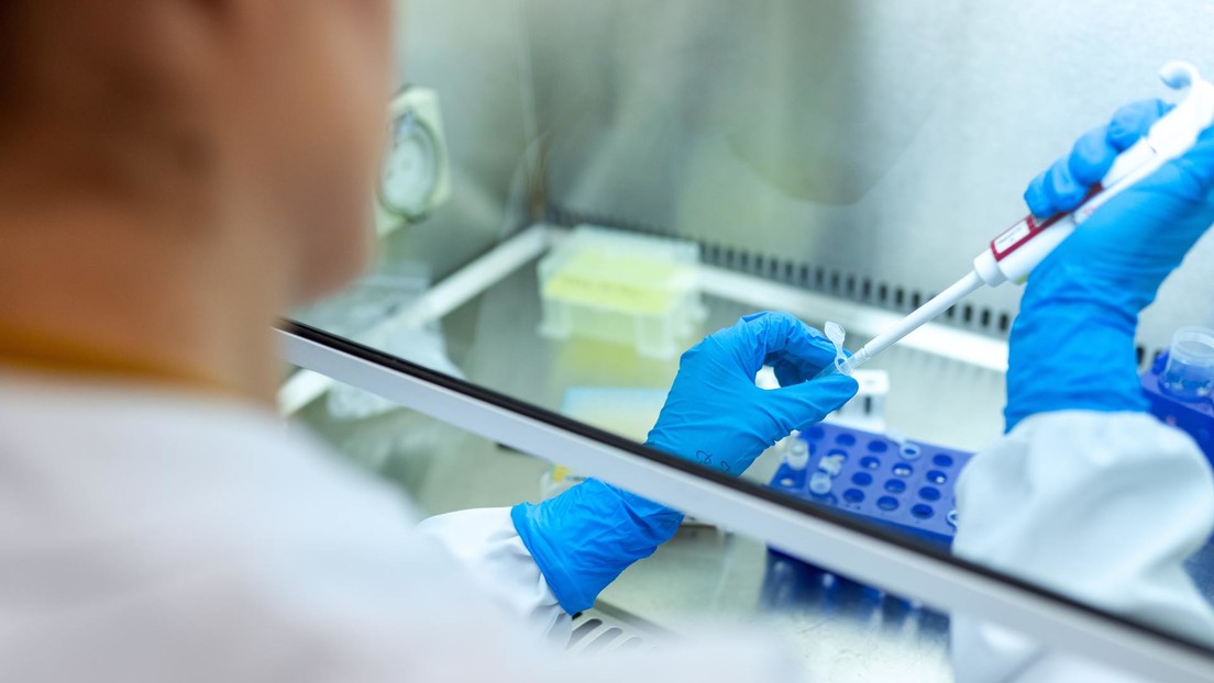 Descubren cuánto duran los anticuerpos contra el coronavirus