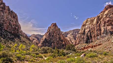 Descubren un tipo de reptil marino de más de 240 millones de años gracias al fósil de una hembra de ictiosaurio embarazada