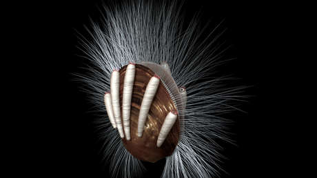 Descubren en China el parásito animal más antiguo: un 'gusano' de hace 512 millones de años