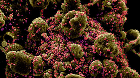 ¿Cuánto tiempo permanece el coronavirus en el cuerpo de una persona infectada?