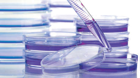 Descubren la "estrategia fundamental de supervivencia" del cáncer que lo hace resistente al tratamiento