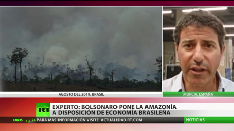 Deforestación: ¿Un desastre natural o una cuestión de privilegios?