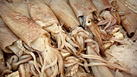 VIDEO: Un calamar gigante de cuatro metros aparece muerto en una playa de Sudáfrica