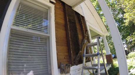 FOTOS: Encuentran una enorme colmena que vivió en la pared de una casa durante unos 50 años