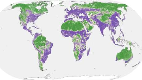 La mitad de la Tierra casi no está afectada por la acción del ser humano