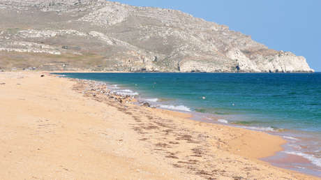 Un perro 'se hace amigo' de un delfín que se acerca a la orilla en Crimea (VIDEO)