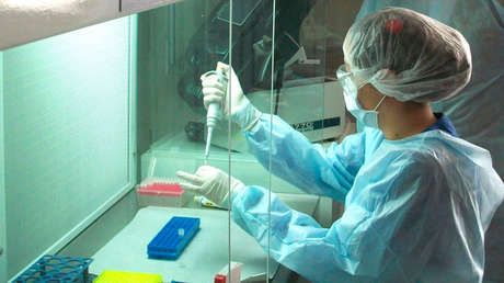 Cómo funciona el "poderoso" software que facilitará las investigaciones sobre desaparecidos que realiza el Equipo Argentino de Antropología Forense