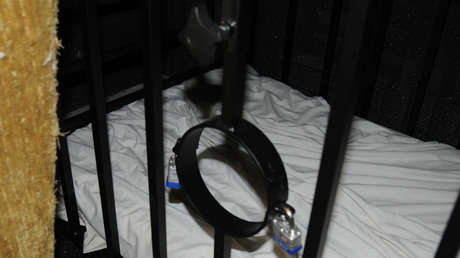 EE.UU.: Rescatan a un niño que vivía en una jaula de perro rodeado de más de 600 animales