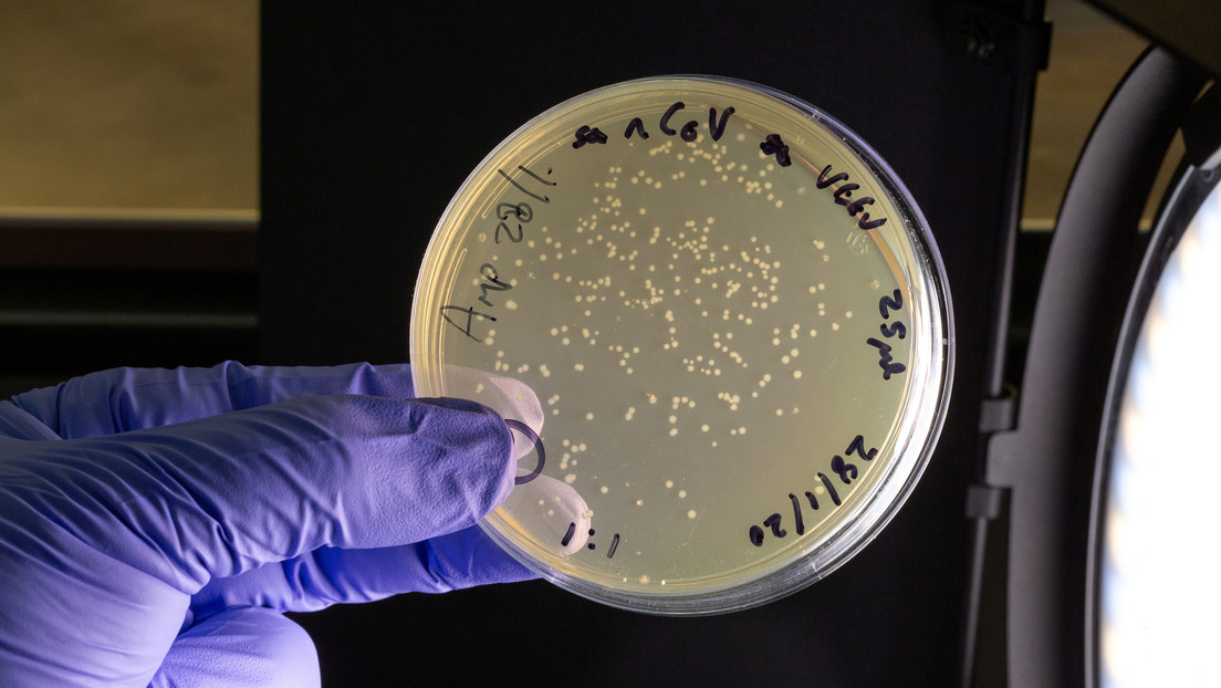 Científicos desarrollan un filtro de aire que elimina casi el 100 % del coronavirus
