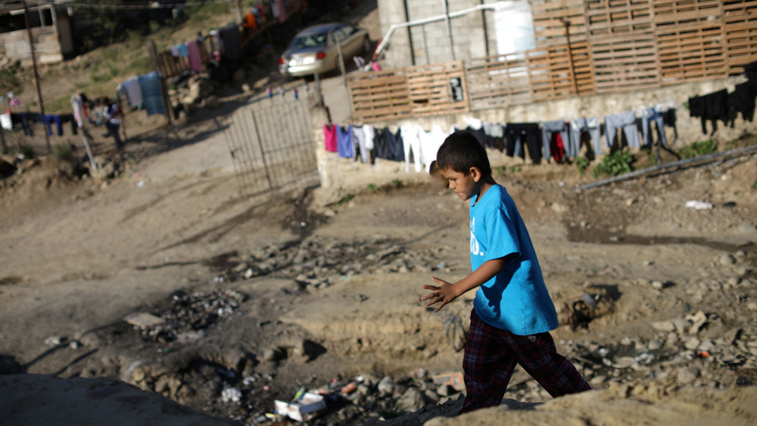 Más de 1,9 millones de niñas y niños padecen desnutrición crónica y 39 millones de mujeres sufren anemia en México