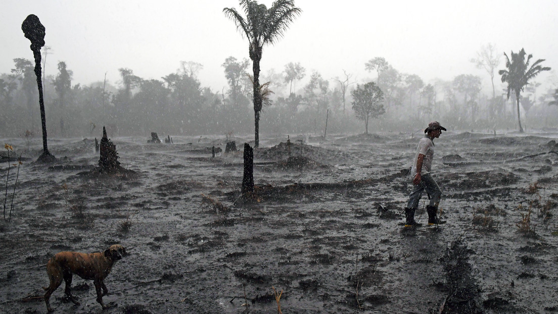 Un estudio predice "el colapso irreversible" de la civilización con una probabilidad de más del 90 % por esta razón