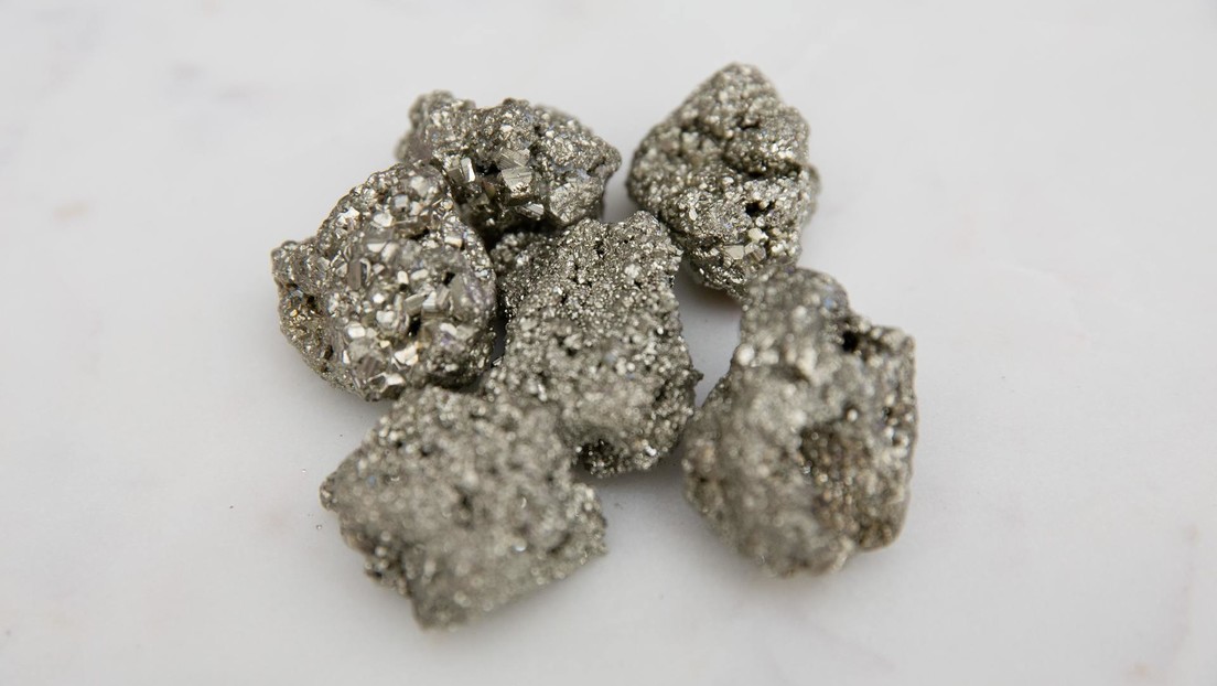 Un estudio sin precedentes revela cuán valioso puede ser el 'oro de los tontos'