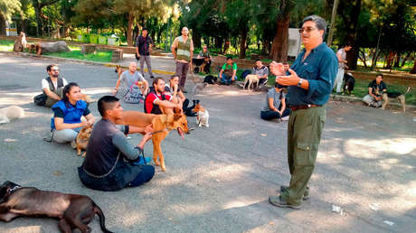 ¿Puede un perro detectar covid-19 a través del olfato?: La Universidad de Buenos Aires se suma al proyecto que busca demostrarlo