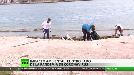 El uso extendido de mascarillas y guantes podría amenazar a las especies marinas