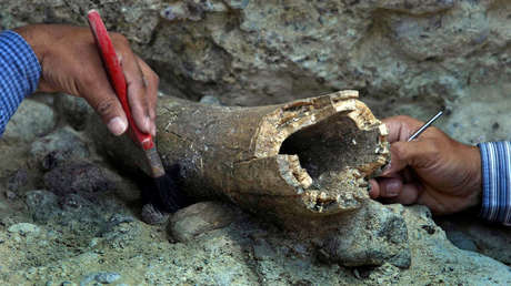 FOTOS: Descubren en Siberia imágenes de camellos grabadas en un colmillo de mamut hace 13.000 años