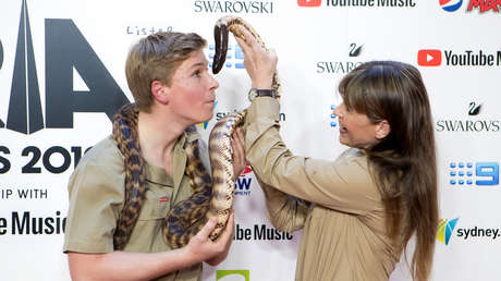 VIDEO: El hijo del 'Cazador de cocodrilos' es mordido en la cara por una pitón