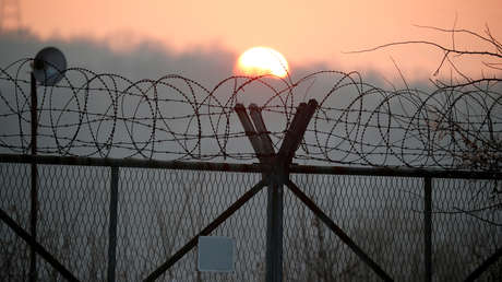 "Cacería masiva": La Policía arresta a más de 60 prisioneros que se fugaron de una cárcel en Sudáfrica (VIDEOS)