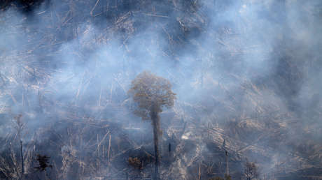 Incendios en el Pantanal brasileño crecen un 200 % en comparación con el año pasado