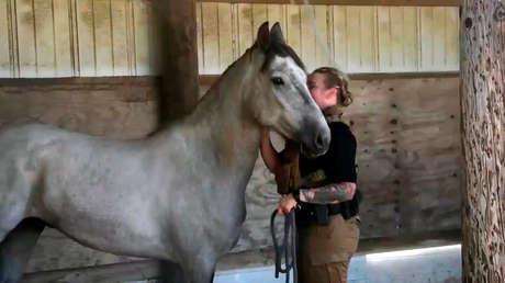 La Fuerza Espacial de EE.UU. muestra al público su primer caballo adquirido para un programa de conservación