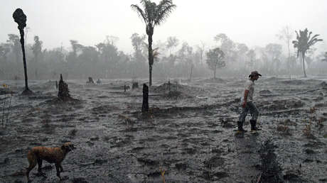 Un estudio predice "el colapso irreversible" de la civilización con una probabilidad de más del 90 % por esta razón