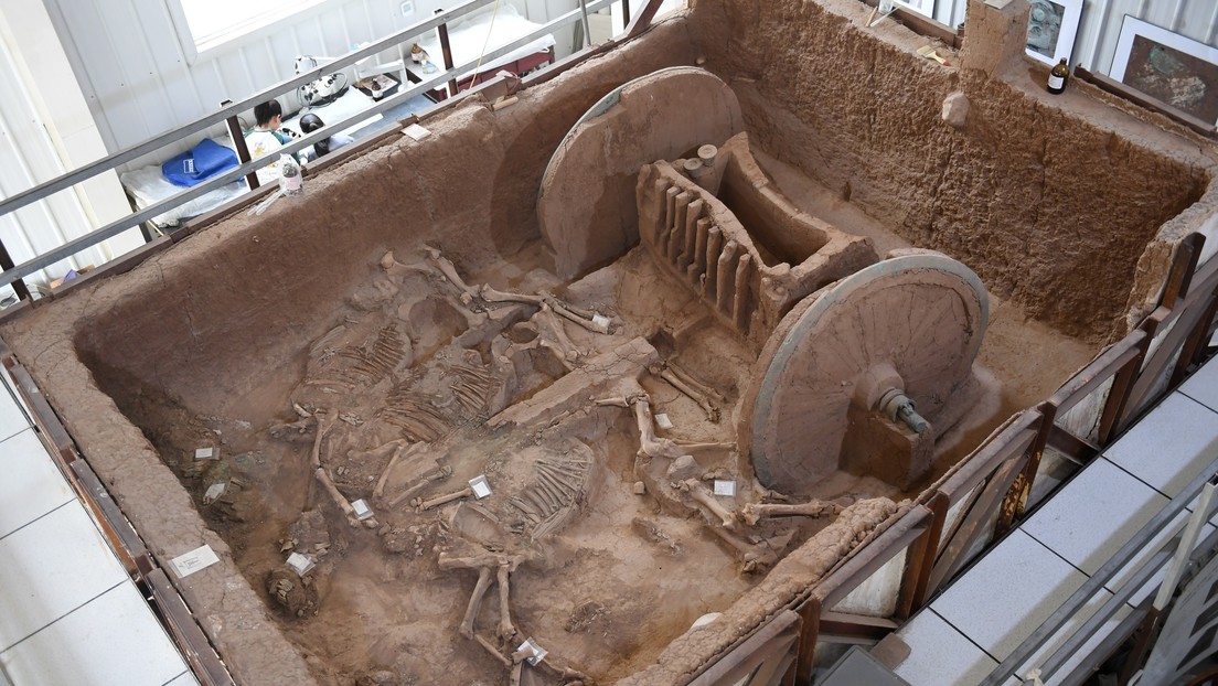 FOTOS: Restauran en China un carro de guerra de 3.000 años de antigüedad